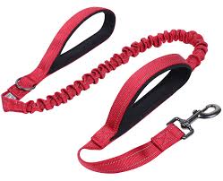 [SCH-GD-06159] GimDog Harlem Bungee Leash L 2.5x55cm-Red
