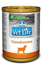 [VD-FM-01892] Farmina Vet Life Convalescence Canine 300g